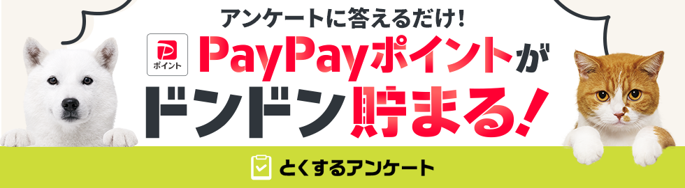 アンケートに答えるだけで、PayPayポイントがドンドン貯まる！