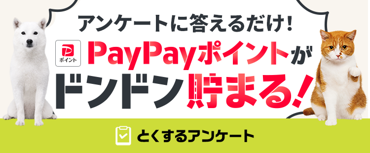 アンケートに答えるだけで、PayPayポイントがドンドン貯まる！