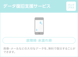 データ復旧支援サービス