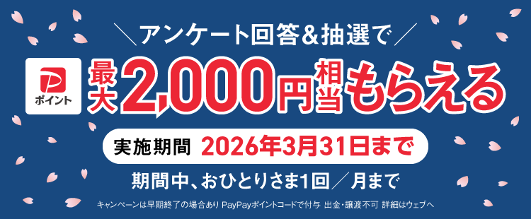 アンケート回答＆抽選でPayPayポイント最大2,000円相当もらえる