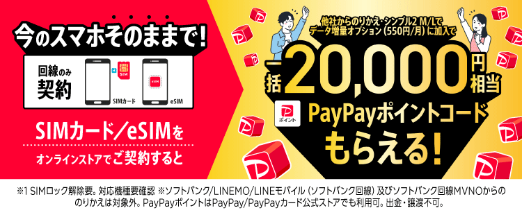 PayPayポイント最大1万円相当プレゼント