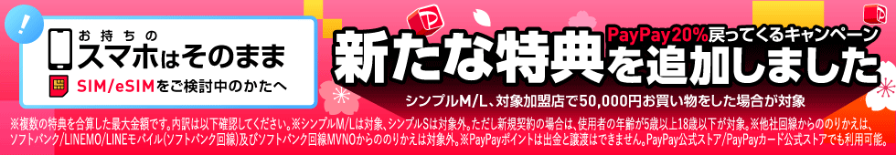 PayPayポイント最大10,000円相当プレゼント