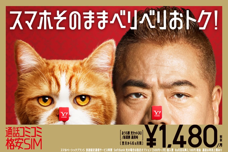 SIM替えとく？今のスマホものりかえOK!