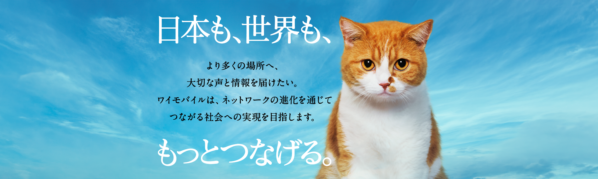 日本も、世界も、もっとつなげる。