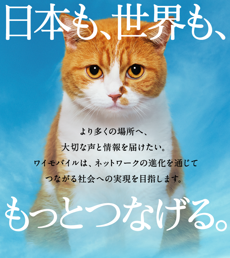 日本も、世界も、もっとつなげる。