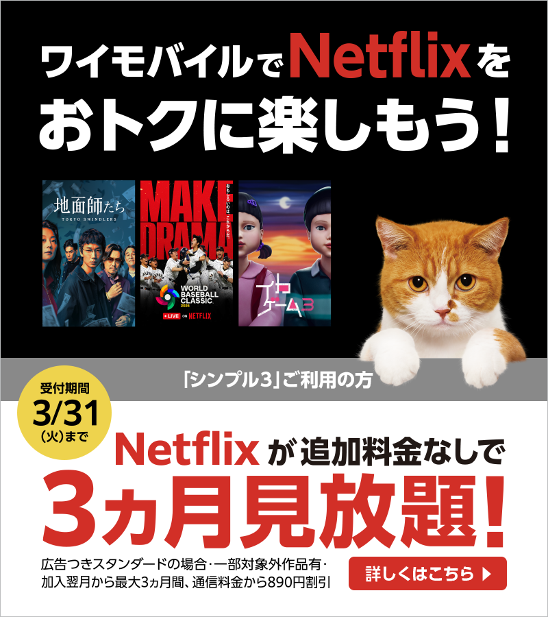 Netflixセット満喫キャンペーン