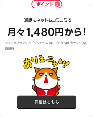 国内通話が無料