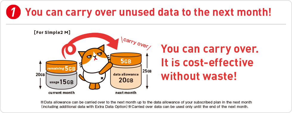 You can carry over unused data to the next month!