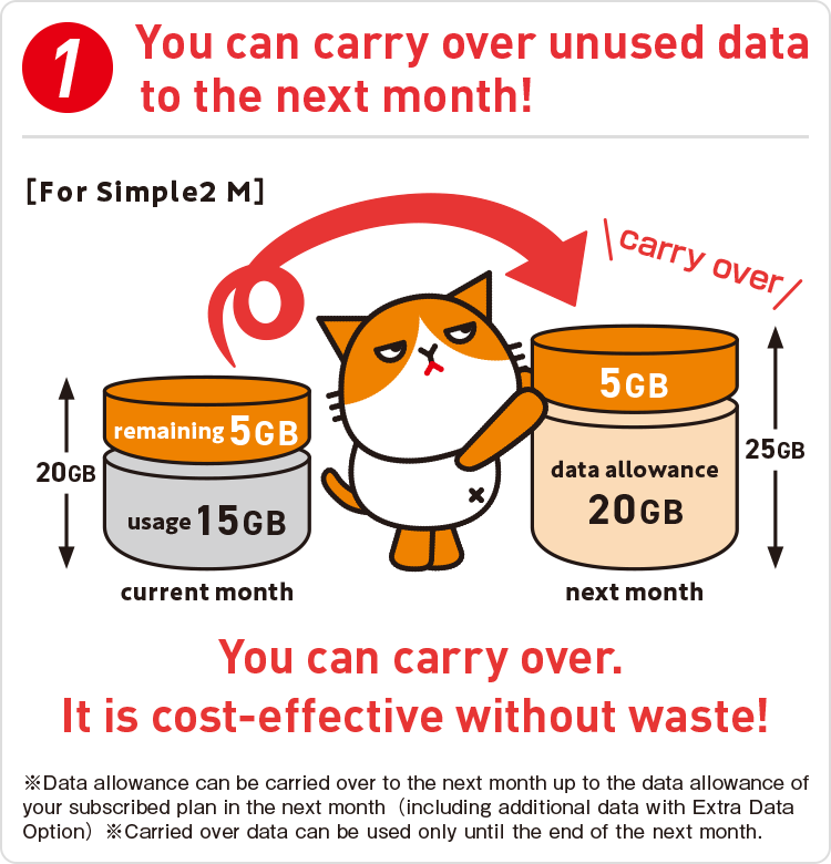 You can carry over unused data to the next month!
