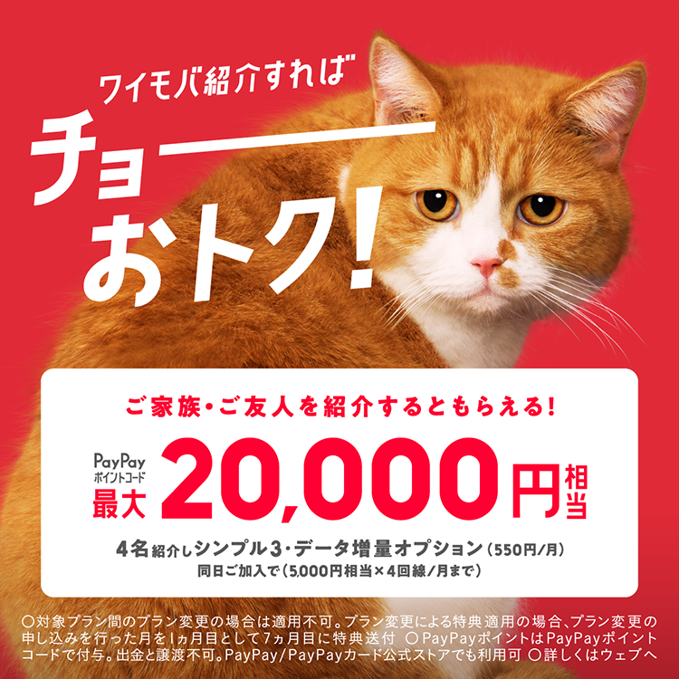 ワイモバ紹介キャンペーン