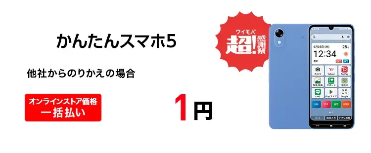 かんたんスマホ5