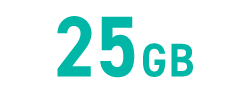 25GB