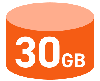 シンプル3 M 30GB