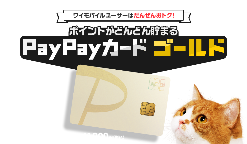 ワイモバイルユーザーはこれ一択！ポイントがどんどん貯まるPayPayカード ゴールドついに登場！！