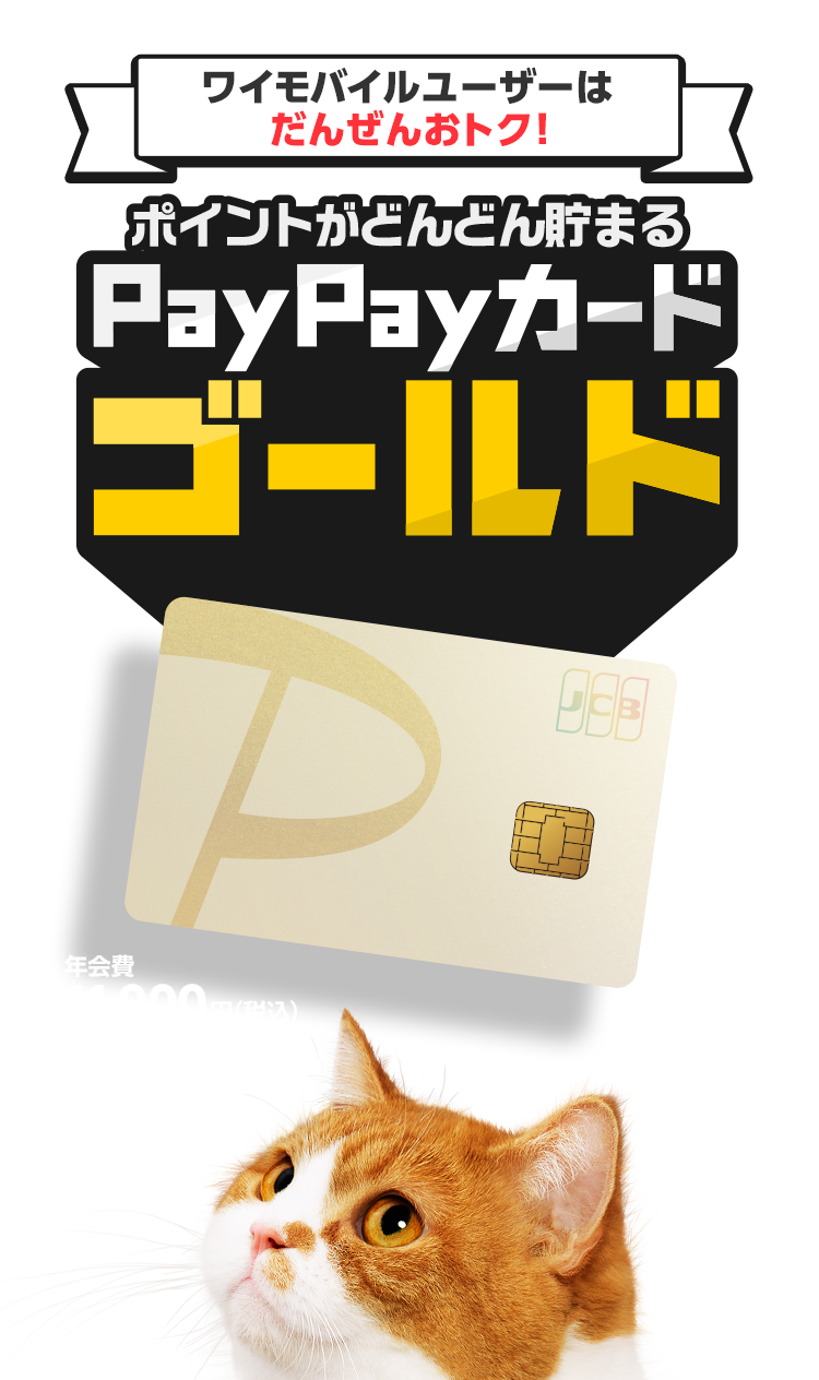 ワイモバイルユーザーはこれ一択！ポイントがどんどん貯まるPayPayカード ゴールドついに登場！！