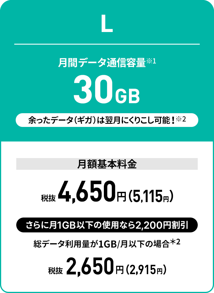 L 月間データ通信容量 30GB