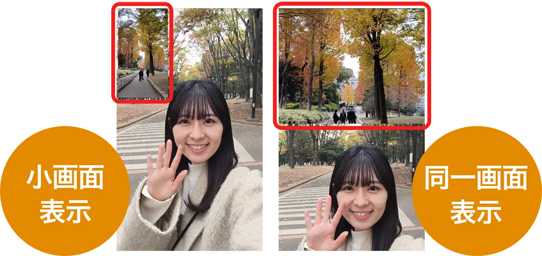 小画面表示/同一画面表示