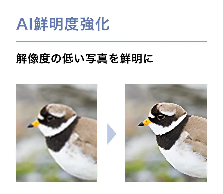 AI鮮明度強化 解像度の低い写真を鮮明に