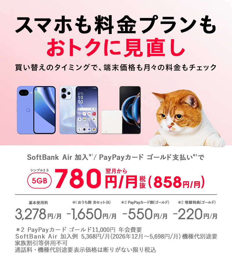 スマホも料金プランもおトクに見直し 買い替えのタイミングで、端末価格も月々の料金もチェック シンプル3 S 5GB 翌月から780円/月（税抜858円/月）