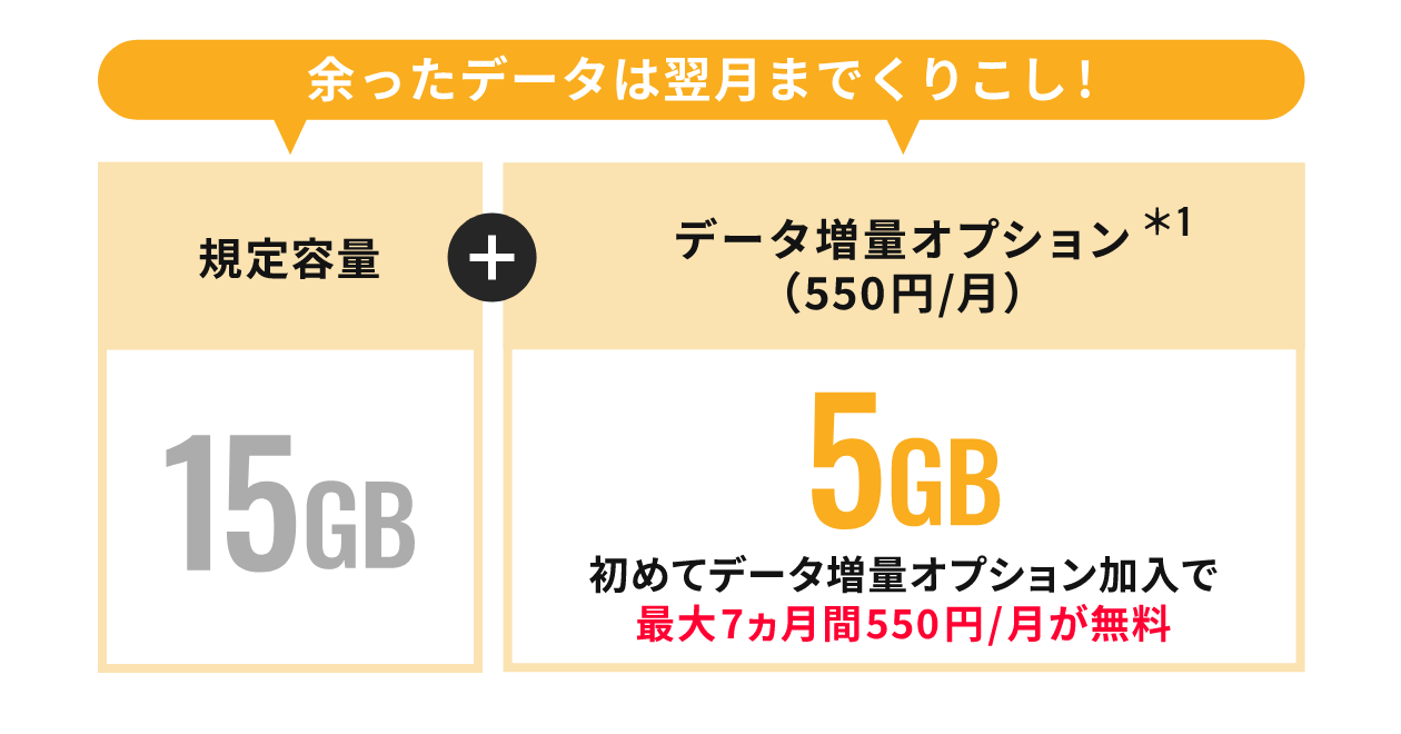 データ増量オプション550円/月 （データ増量無料キャンペーン2に加入した場合1年間無料）月間データ容量15GB→20GB