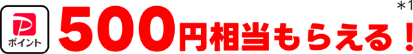 PayPayポイント 500円相当もらえる！