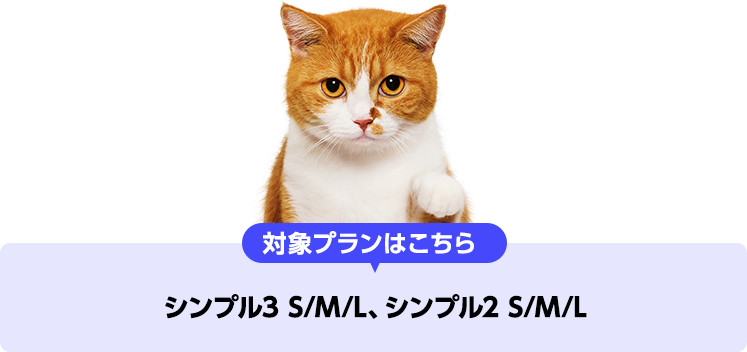 対象プランはこちら シンプル3 S/M/L、シンプル2 S/M/L