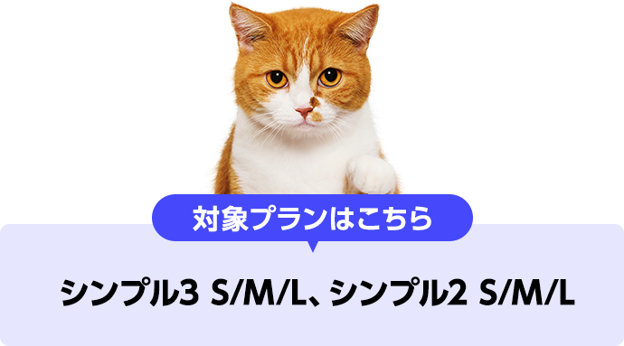 対象プランはこちら シンプル3 S/M/L、シンプル2 S/M/L