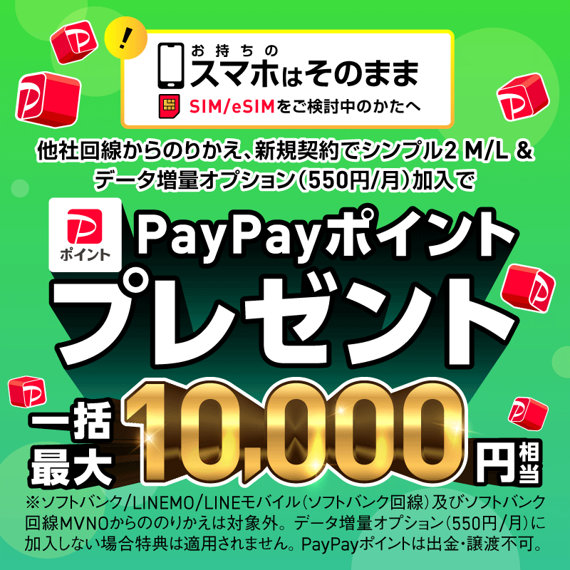 PayPayポイント最大15,000円相当プレゼント