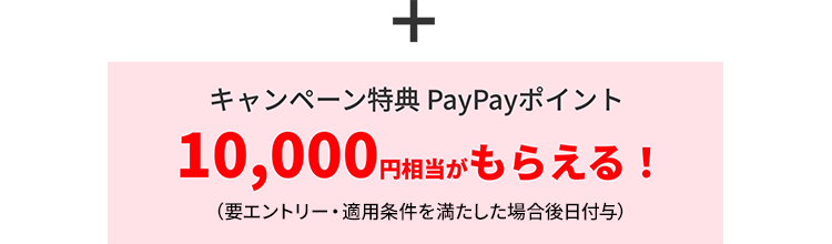 キャンペーン特典PayPayポイント 10,000円相当がもらえる！
