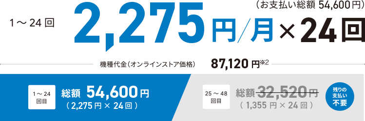 1～24回　2,225円/月×24回（お支払い総額 54,600円）