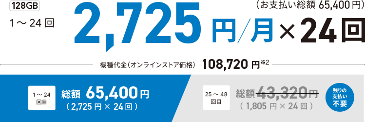 1～24回　2,725円/月×24回（お支払い総額 65,400円）