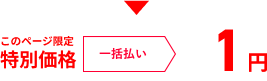 このページ限定 特別価格  一括払い 1円
