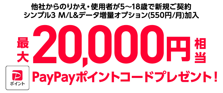 PayPayポイントコートプレゼント！