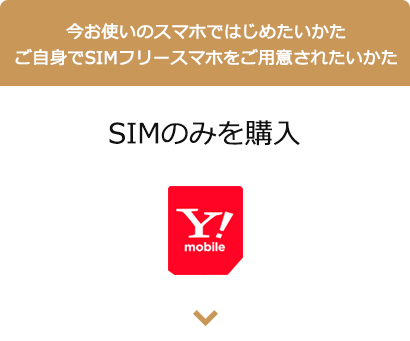SIMのみを購入