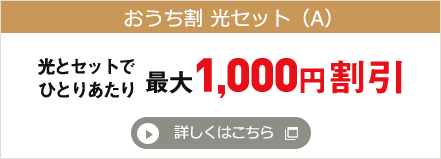 光セット割 光とセットでひとりあたり最大1,000円割引