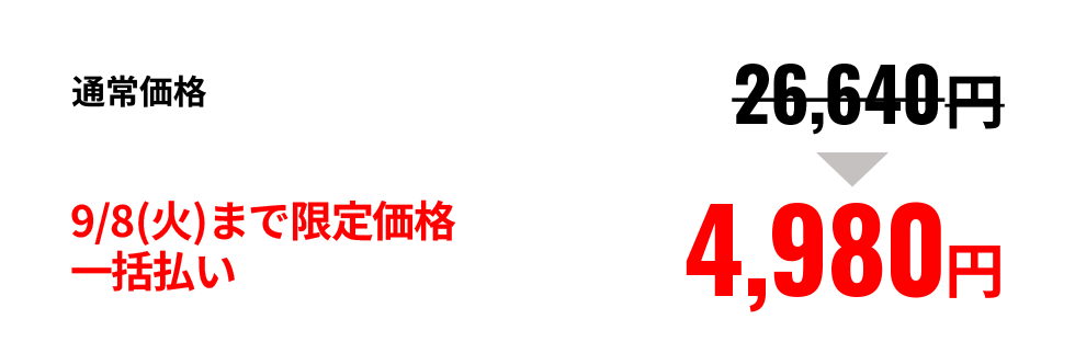 9/8(火)まで限定価格一括払い 4,980円