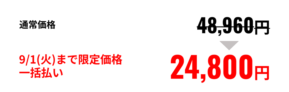 9/1(火)まで限定価格一括払い 24,800円