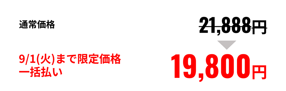9/1(火)まで限定価格一括払い 19,800円