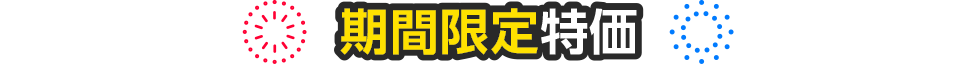期間限定特価