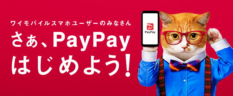 Y!mobileのスマホならショッピングがおトク!