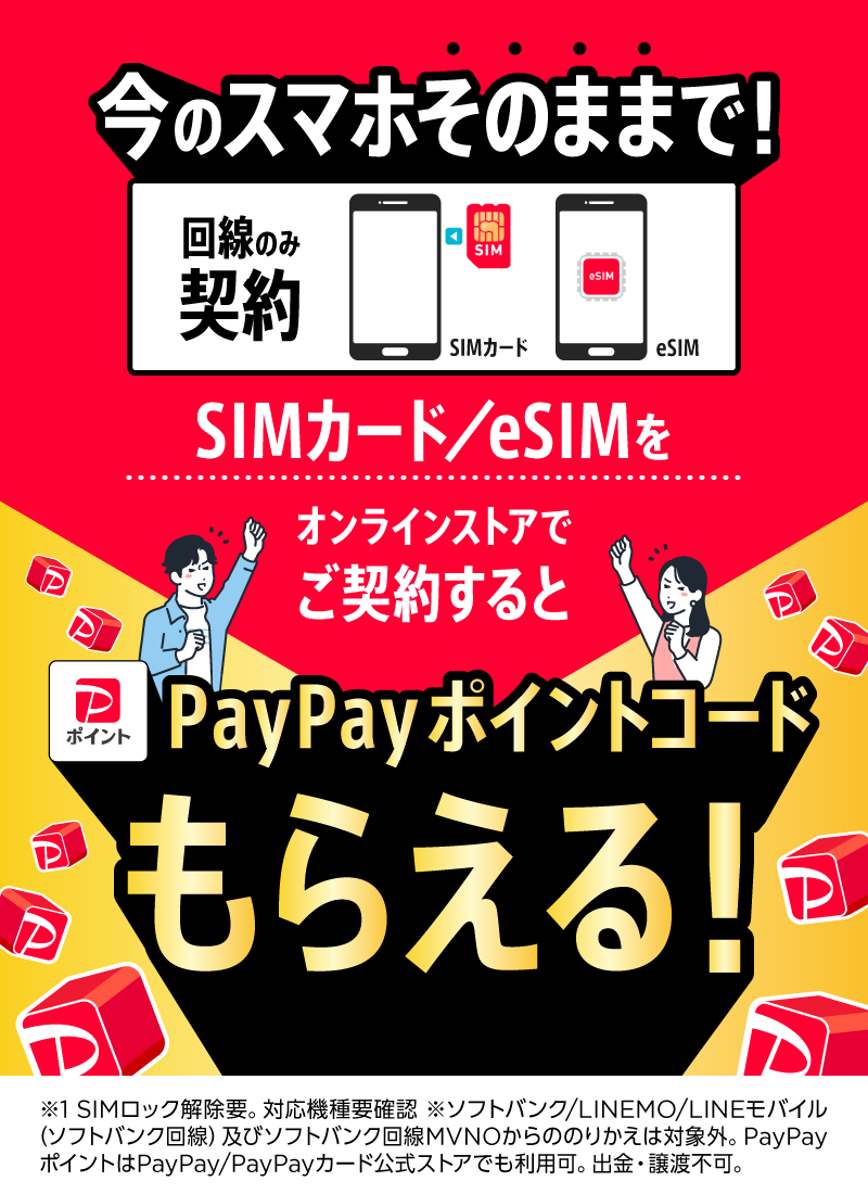 PayPayポイントコードもらえる！