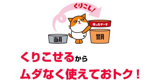 【データくりこし】くりこせるからムダなく使えておトク！